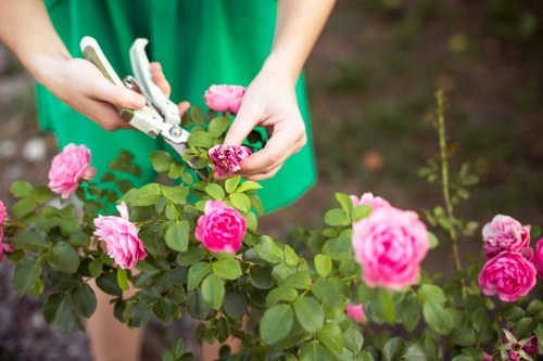 Eco-friendly garden maintenance practices