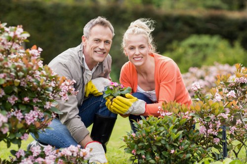 Two gardeners working on a suburban back garden
