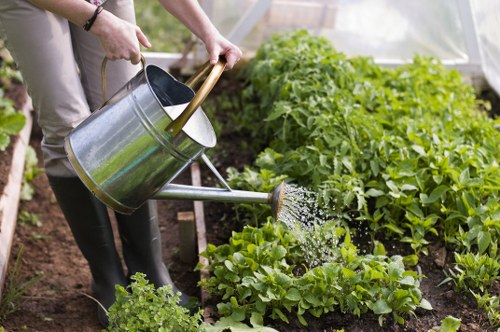 Efficient irrigation system in a Wallington garden